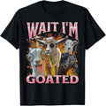 //img.ltwebstatic.com/v4/j/spmp/2026/02/26/4b/17721113230e14c7e276c713eab3d00b8a71fc8286_square_thumbnail_900x.webp